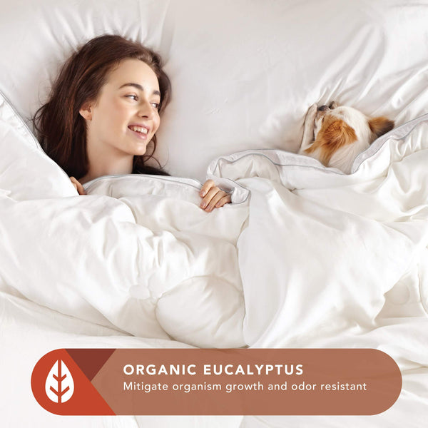 Codi All-Season Cooling Comforter- Forever Fluffy, Silky Soft White Down Alternative Comforter for Hot Sleepers-Plushest Breathable Stand-Alone Quilted Eucalyptus Blanket, Eco Friendly Twin/Twin XL